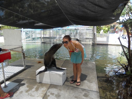 Sea Lion Kisses!