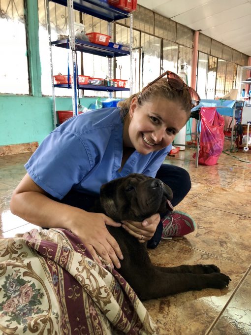 Helping Luna recover from her spay with World Vets in Otavalo, Ecuador