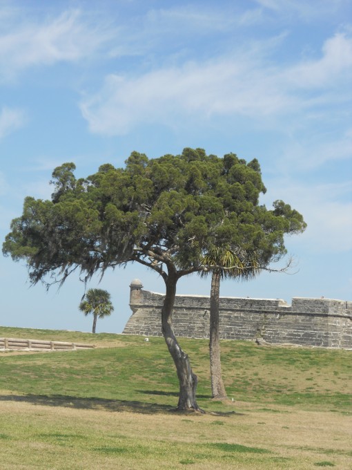 Castillo de San Marcos in St. Augustine, FL