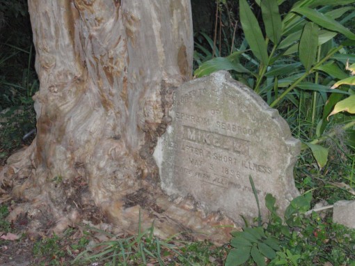 Cemetary in Charleston, SC