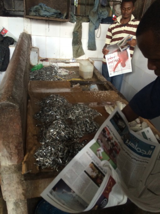 Stone Town Zanzibar Fish Market