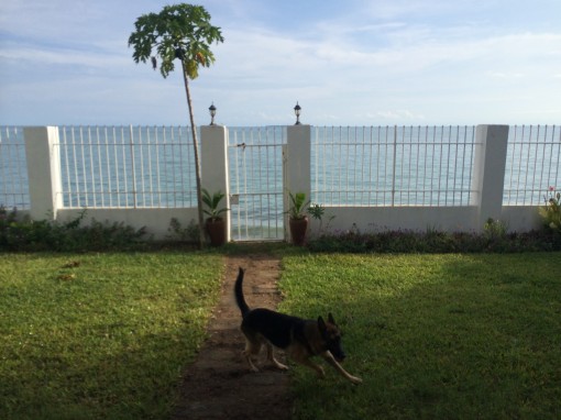 Stone Town, Zanzibar