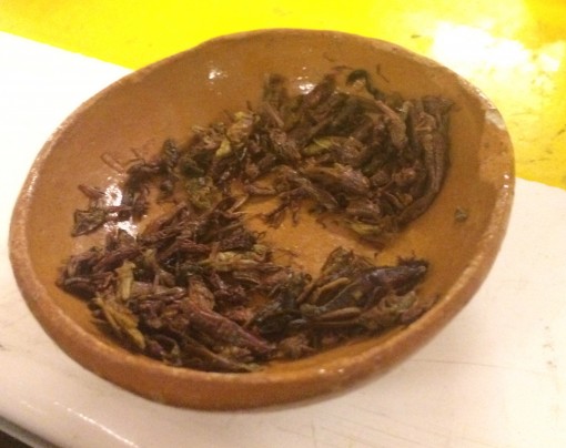Chapulines- fried crickets in Mexico