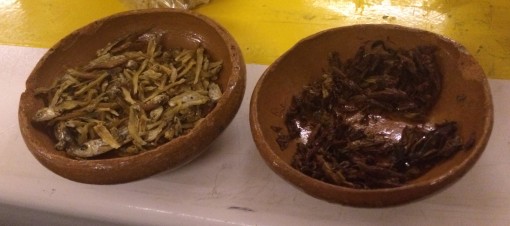 Dried fish and fried crickets in Mexico