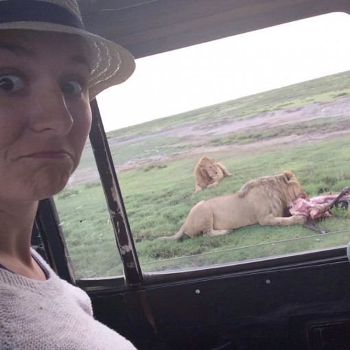 Lions on the Serengeti in Tanzania