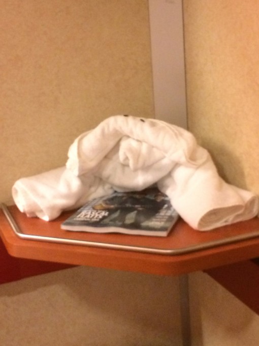 Weird towel animal from Carnival Cruise lines
