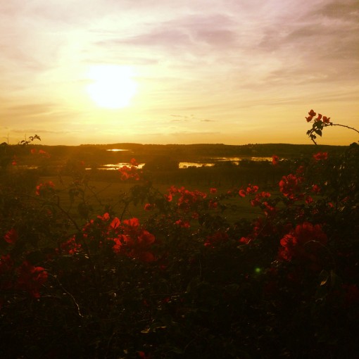 Lakeridge Winery and Vineyard in Clermont, FL