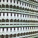 Visit Casa Bacardi – The Bacardi Rum Distillery