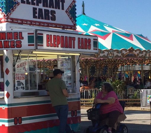 The Florida State Fair in Tampa, FL 2015