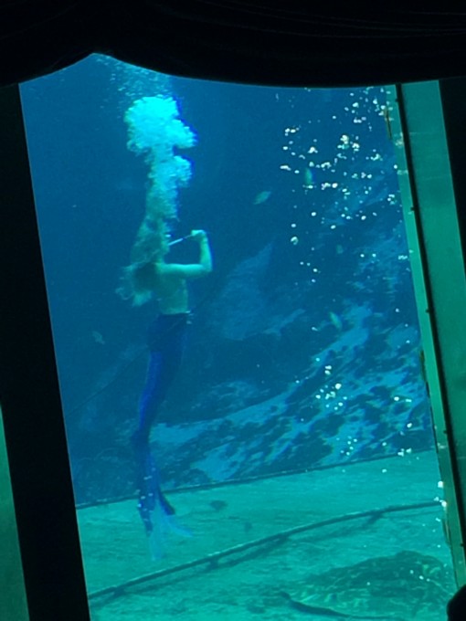 Weeki Wachee Springs Mermaid Shows