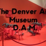 The Denver Art Museum (D.A.M.)