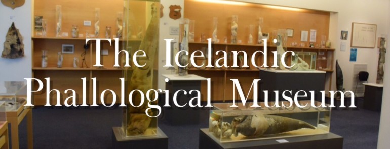 Iceland's Penis Museum (The Icelandic Phallological Museum) - Mags On The Move