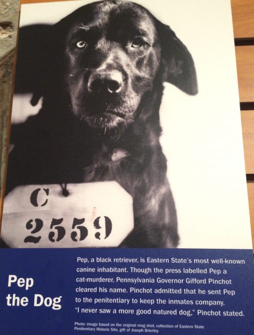 Pep the dog, a famous inmate at Eastern State Penitentiary, was surprisingly incarcerated for cat murder and not stealing hearts. 