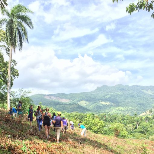 Planting Trees on the side of a mountain in Yasica City in the Dominican Republic