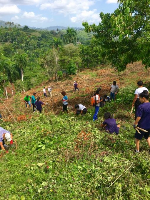 Reforestation in the Dominican Republic