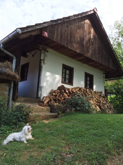 Šokčev dvor open air museum in Bela Krajina, Slovenia