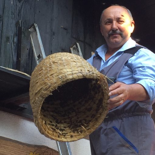 Learn about beekeeping at Čebelarstvo Veselič in Metlika, Slovenia 