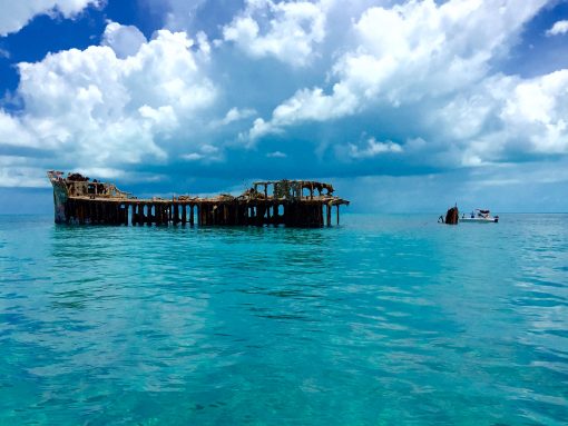 The shipwreck of the SS Sapona, a great dive site in Bimini