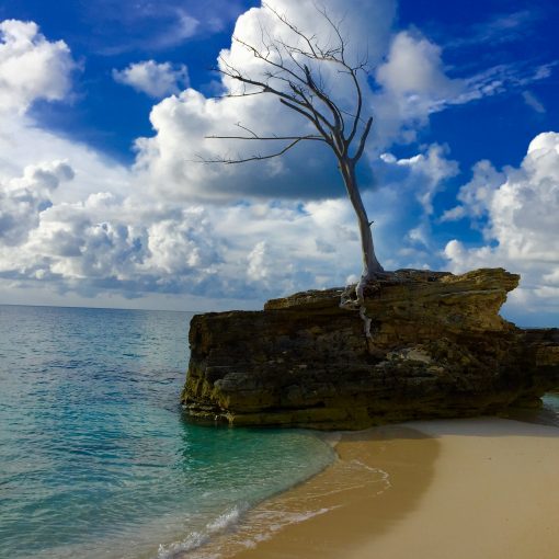 The beach at Resorts World Bimini in the Bahamas