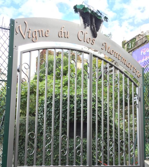 Vigne du Clos Montmartre, the only working vineyard within the city of Paris accessible only by private tour via City Discovery.