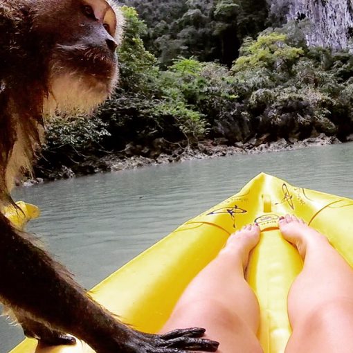 Way too close for comfort with a monkey in Phuket