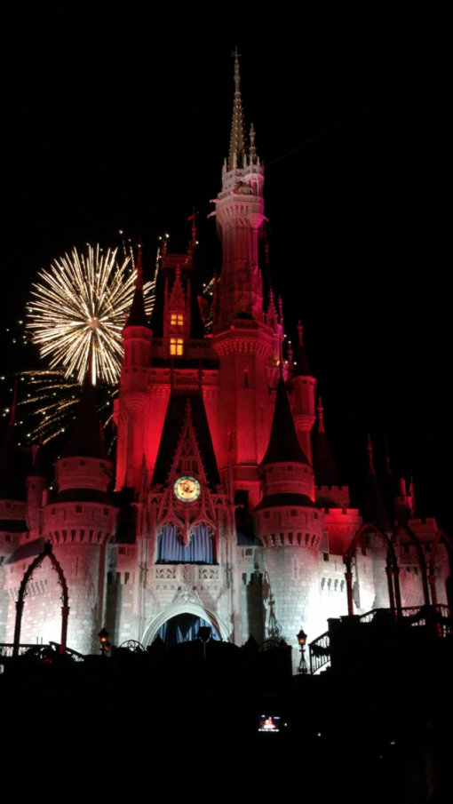 Fireworks at Disney World!