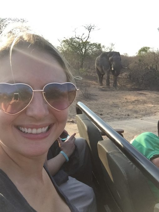 Up close and personal with a wild Afrian Elephant in Hoedspruit, South Africa