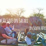 3 Ways to Save on Safari in South Africa