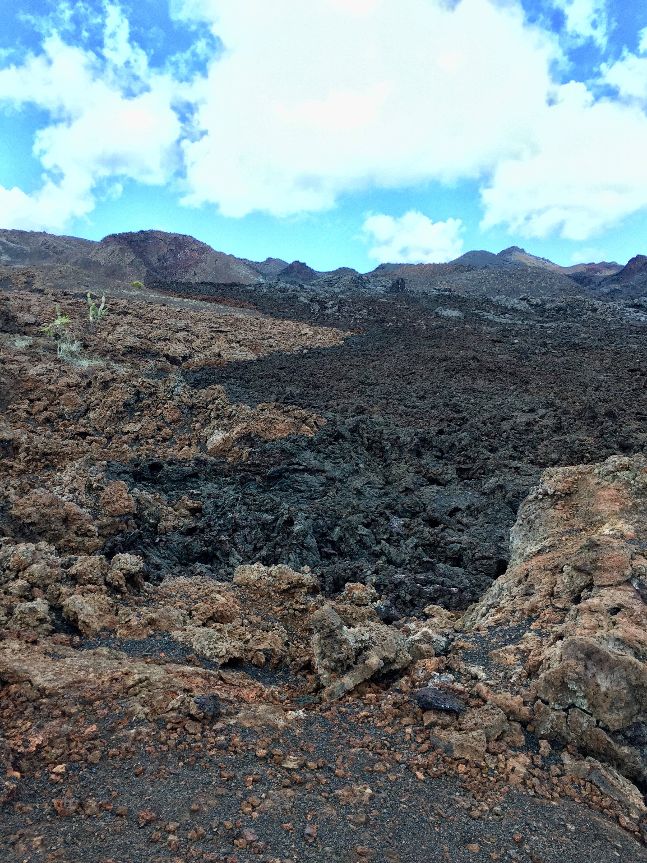 The line where the old lava meets new at Volcan Chico on Isla Isabela in the Galapagos Islands