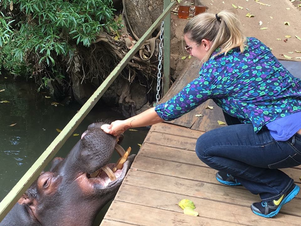 Meet Jessica, the friendliest hippo in South Africa