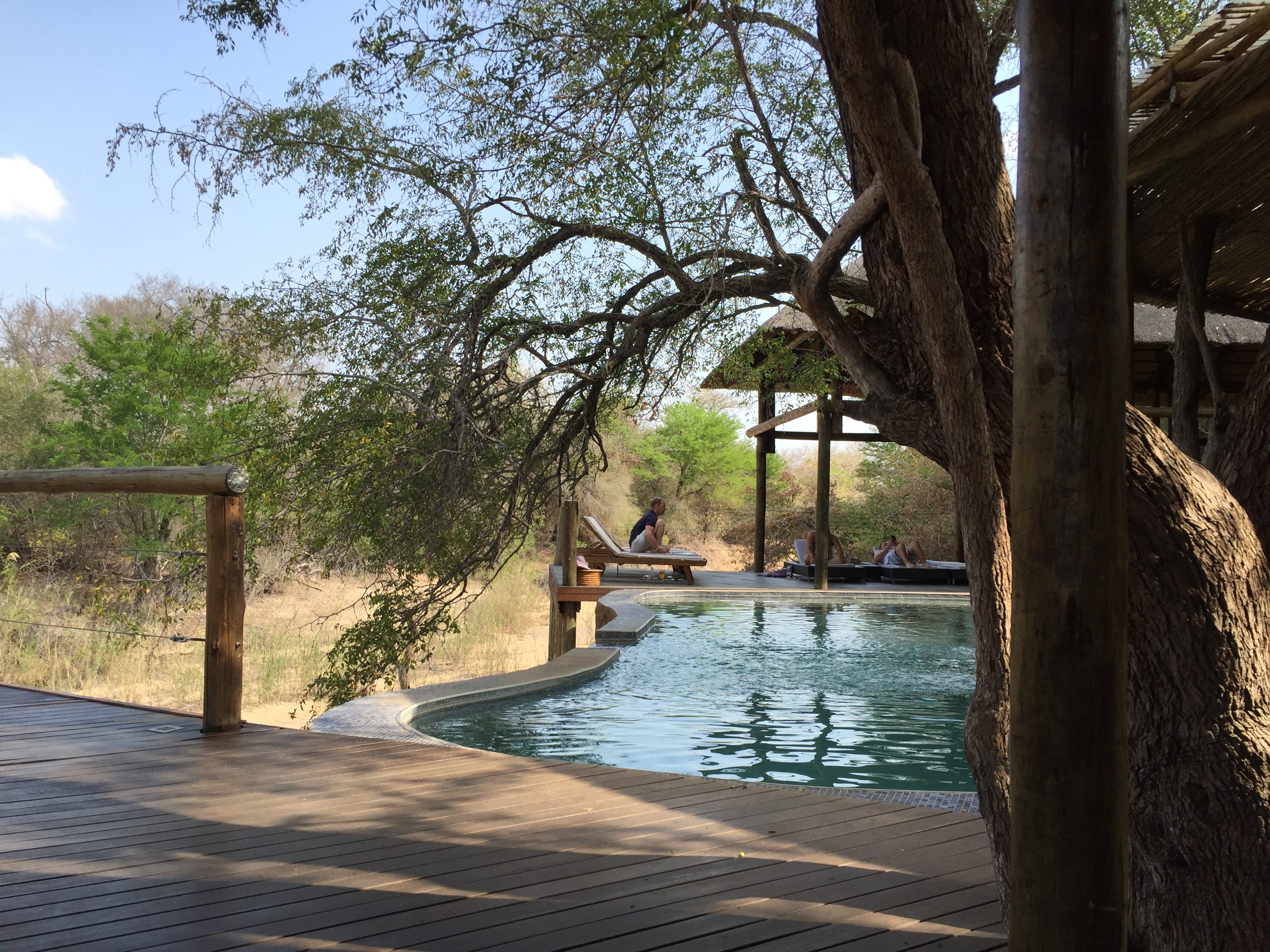 Spend your days between game drives lounging by the pool at the Moditlo River Lodge in Hoedspruit, South Africa outside of Kruger National Park.