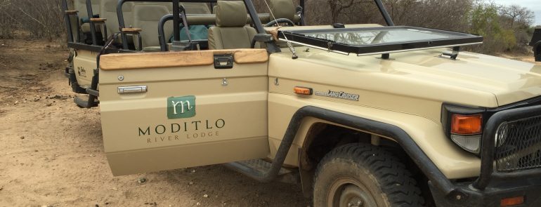 Moditlo River Lodge - Affordable South African Luxury - Mags On The Move