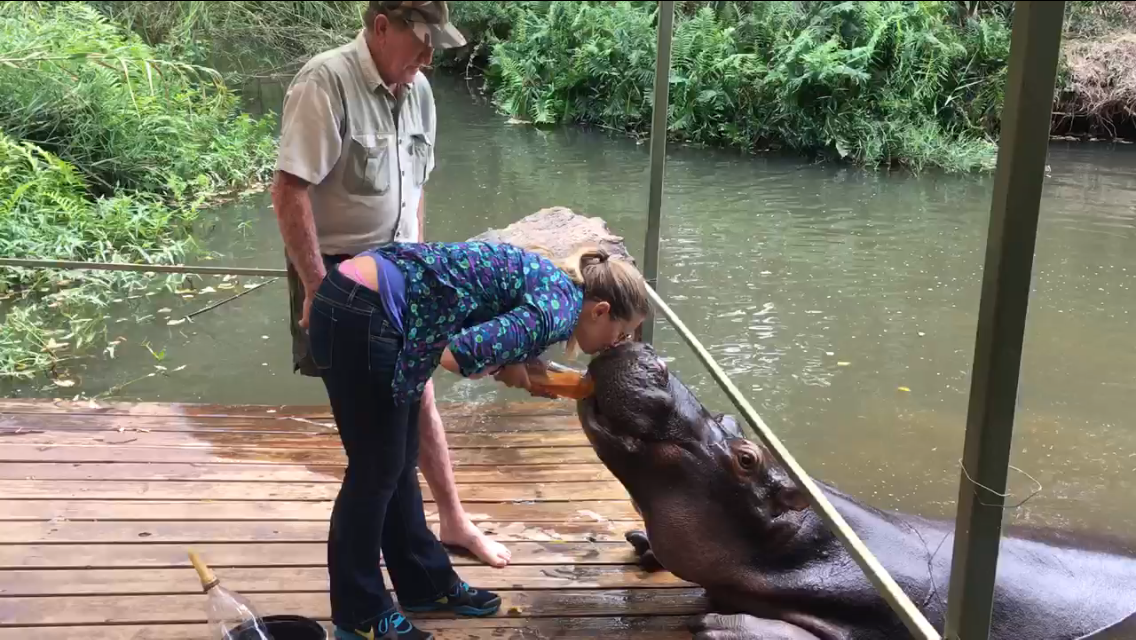 I Kissed Jessica the Hippo and i liked it! - Mags on the Move